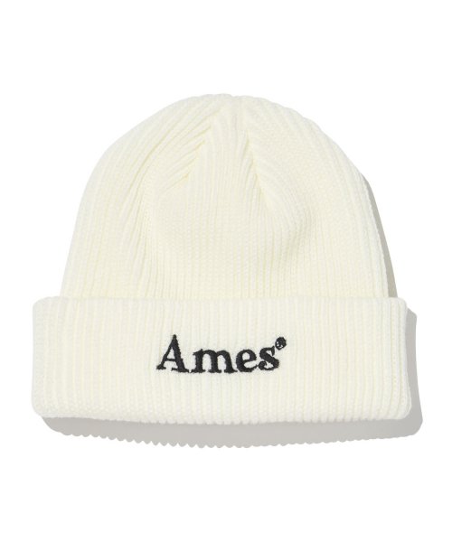 Ames Worldwide - Colored Logo Beanie