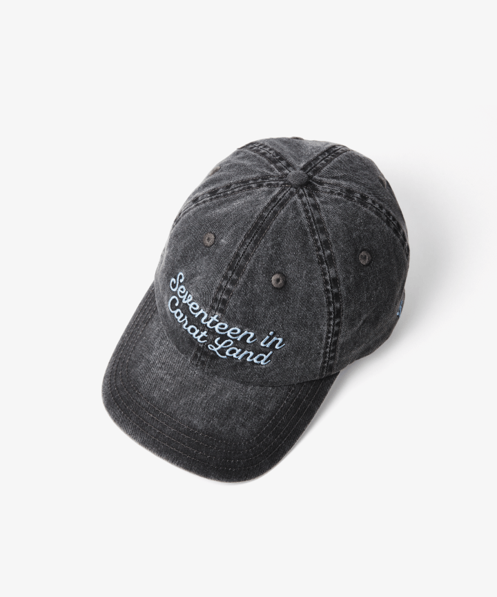 2024 SVT 8TH FAN MEETING <SEVENTEEN in CARAT LAND> Official Merch