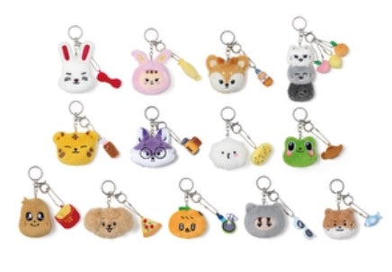 SEVENTEEN Official Character <MINITEEN HOUSE PARTY> Official Merch