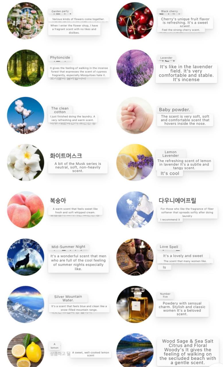 Forest of Perfume Handmade Natural Soy Candle