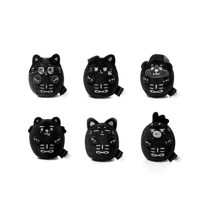 ENHYPEN <SPOOKY ENCHIN> Official Merch