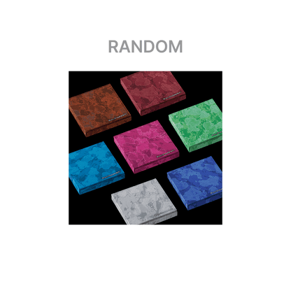 Enhypen - The Sin: VANISH