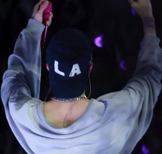 Lin Avenue - Block LA Chain Stitch Ball Cap