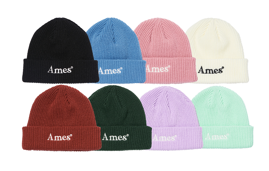 Ames Worldwide - Colored Logo Beanie