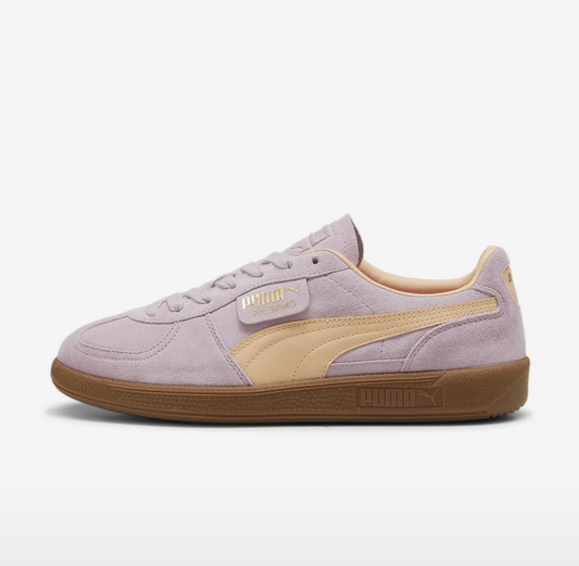 Puma - Palermo