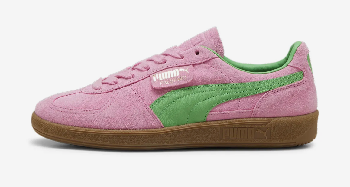 Puma - Palermo