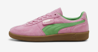Puma - Palermo