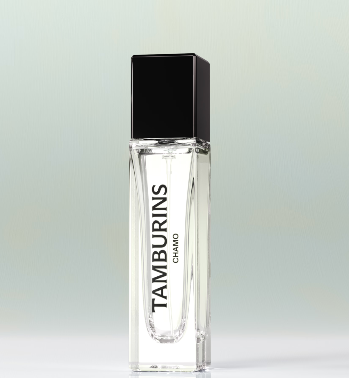 Tamburins - Chamo
